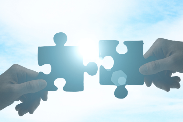 fusion-cpa-working-with-your-partner
